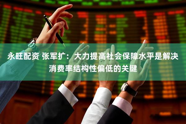 永旺配资 张军扩：大力提高社会保障水平是解决消费率结构性偏低的关键
