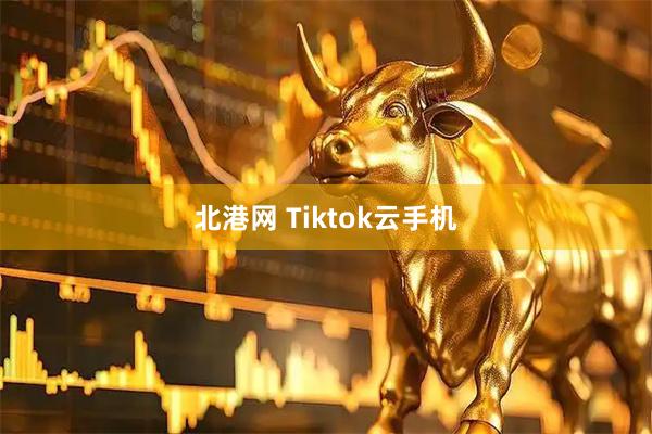 北港网 Tiktok云手机